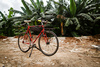 2014 PIAS Agra / Elitist Red photo