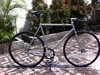 2012 PIAS brushed steel photo