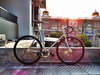 PIAS Cycles II photo