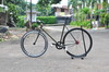 Pias Dirty Gold Stealth photo
