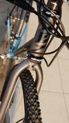 Pias Scarab photo