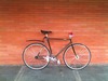 PIAS sumvelo x cyclonesia black photo