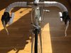 Pinarello Asolo photo