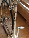 Pinarello Asolo photo