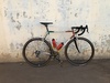 Pinarello Caetano Velusso photo