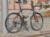 Pinarello Dogma 60.1 2011 photo