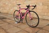 Pinarello Dogma 60.1 photo