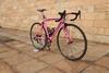 Pinarello Dogma 60.1 photo