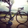 Pinarello Dogma 65.1 Think 2 [Team Sky] photo