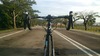 Pinarello Dogma 65.1 Think 2 [Team Sky] photo