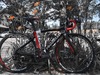 DOGMA F8 photo