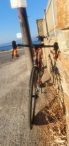 Pinarello Dogma F8 Disc photo