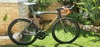 Pinarello Dogma F8 Disc photo