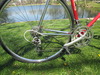 Pinarello Gavia photo