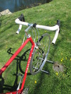 Pinarello Gavia photo