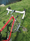 Pinarello Gavia photo