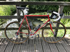 Pinarello Gavia, Columbus FRX (1995) photo