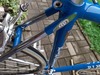 Pinarello Montello photo