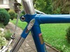 Pinarello Montello photo