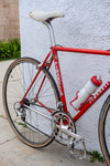 Pinarello Treviso photo