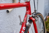 Pinarello Treviso photo