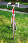 Pinarello Montello photo