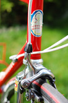 Pinarello Montello photo