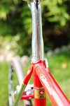 Pinarello Montello photo