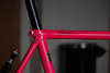 Pinarello Montello photo