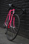 Pinarello Montello photo