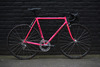 Pinarello Montello photo