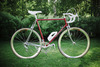 Pinarello Montello C-Record photo