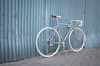 Pinarello Montello SL, Chrome, Custom photo