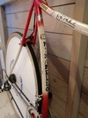 Pinarello Prologo First gen photo