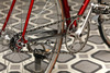 Pinarello Treviso photo