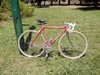 Pinarello Treviso photo