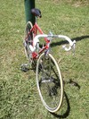 Pinarello Treviso photo