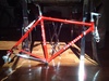 Pinarello Treviso photo