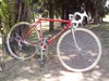 Pinarello Treviso photo