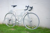 Pinarello Treviso, 55cm photo