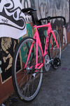 Pink Aventon Mataro photo