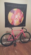 Pink Aventon Mataro 55cm photo