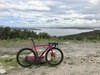 Pink Cannondale CAAD9 photo