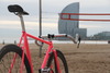 Pink Cinelli photo