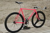 Pink Cinelli photo