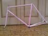 Pink fade Makino NJS photo