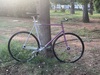 Pink hellas track bike photo