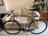 Pink hellas track bike photo