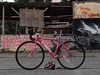 Pink VISP TRX790 photo