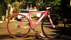 Pink VISP TRX790 photo